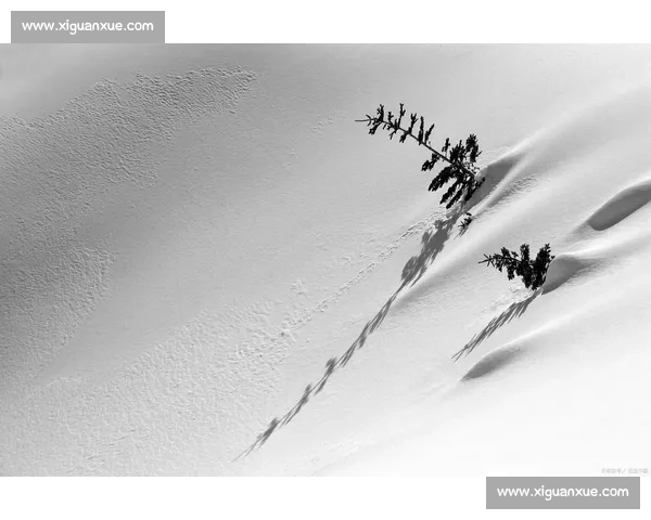 在风云与人心交错之后一切尘埃落定的时代回望与命运叙事沉思重来